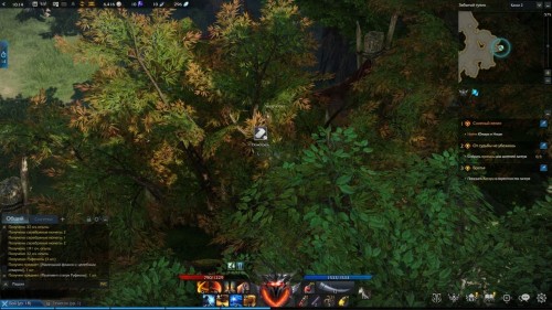 Lost Ark: cемена мококо на материке Артемис Lost Ark: cемена мококо на материке Артемис